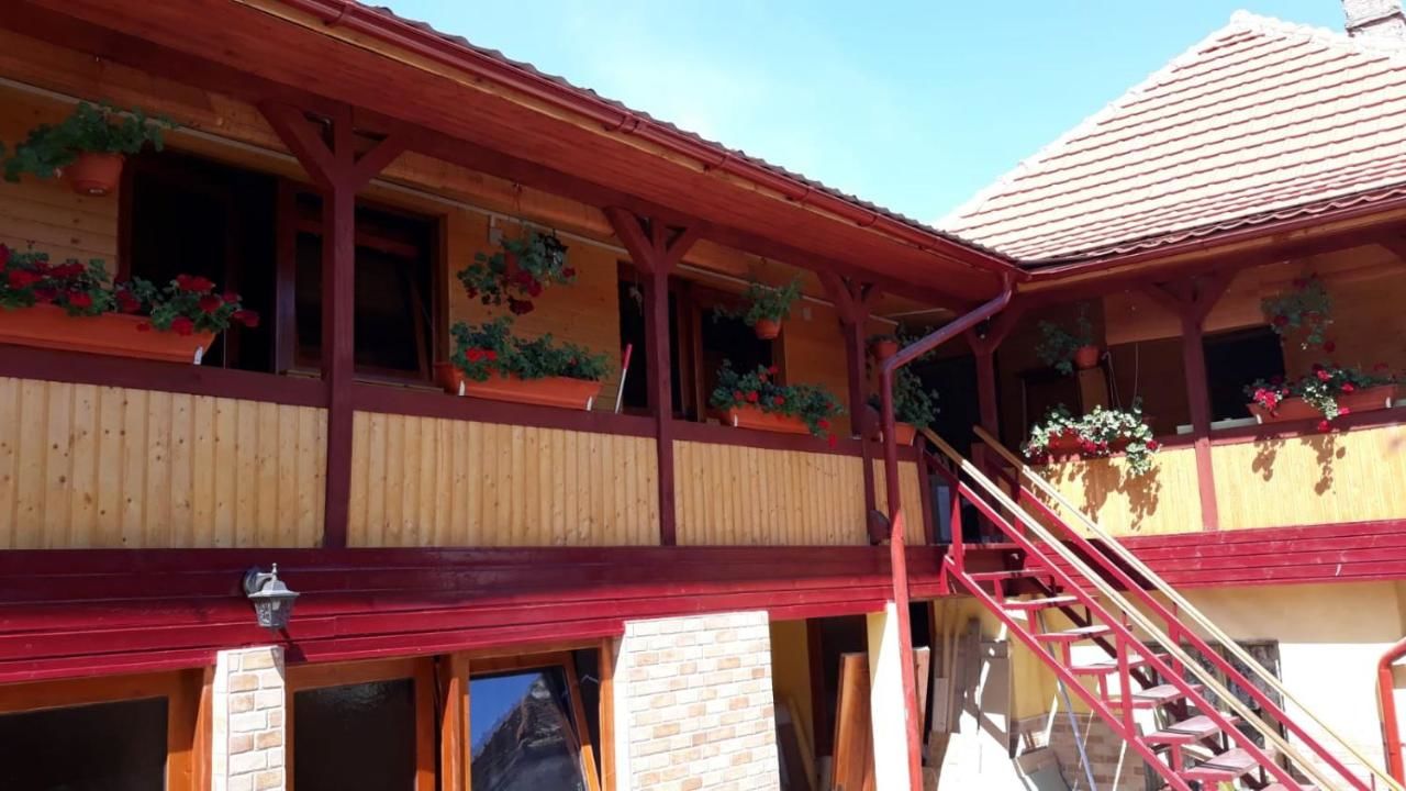 Гостевой дом Casa de vacanța Alina Ешелница-24