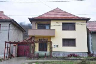 Гостевой дом Casa de vacanța Alina Ешелница Двухместный номер с 1 кроватью-5