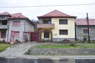 Гостевой дом Casa de vacanța Alina Ешелница Двухместный номер с 1 кроватью-61