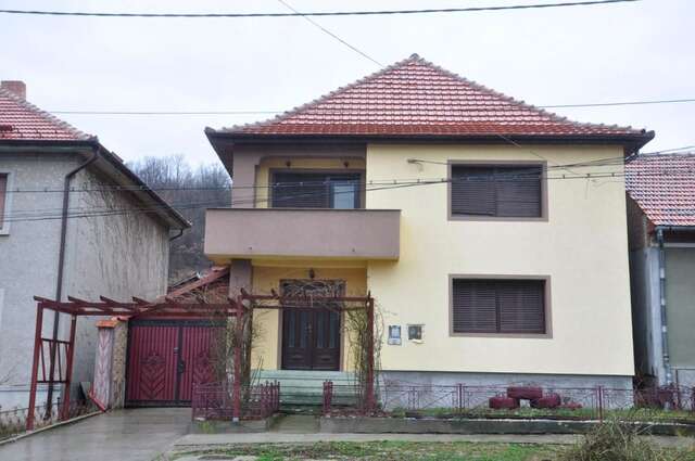 Гостевой дом Casa de vacanța Alina Ешелница-12